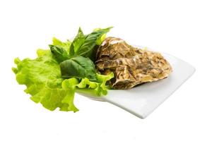 Fresh oyster in a bowl on white background photo