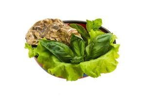 Fresh oyster in a bowl on white background photo