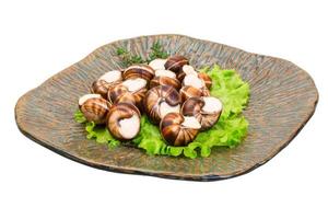 Escargot on the plate and white background photo