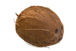 Coconut on white background photo