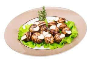 Escargot on the plate and white background photo