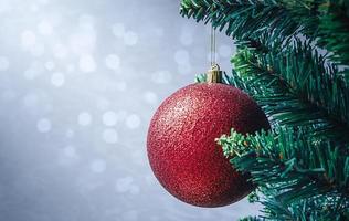 Red Christmas decoration on a tree branch against blue defocused lights with copy space. photo