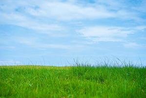 Beautiful landscape of Green field and white clouds copy space for text or design photo