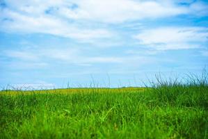 Beautiful landscape of Green field and white clouds copy space for text or design photo