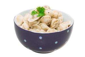 Russian dumplings in a bowl on white background photo