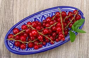 Red currants on wood photo