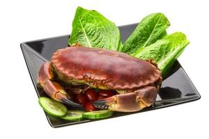 Raw crab on the plate and white background photo