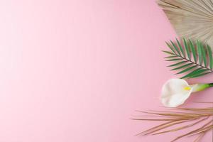 Tropical natural background with palm leaf and flower on pink. Flat lay, copy space photo