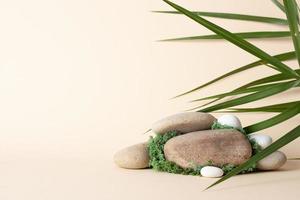 Cosmetic natural background with wood podium and moss, stone on beige. Empty showcase for cosmetic product presentation. photo