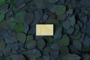 Natural background with eucalyptus and soap. Flat lay, copy space. photo