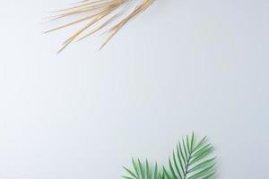 Tropical natural background with palm leaf on grey. Flat lay, copy space photo