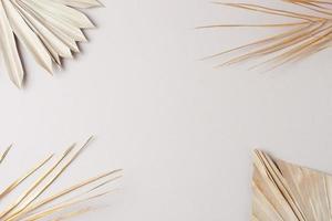 Tropical natural background with palm leaf on grey. Flat lay, copy space photo