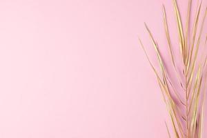 fondo natural tropical con hoja de palma en rosa. endecha plana, espacio de copia foto