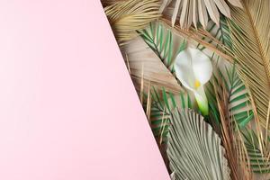 Tropical natural background with palm leaf and flower on pink. Flat lay, copy space photo