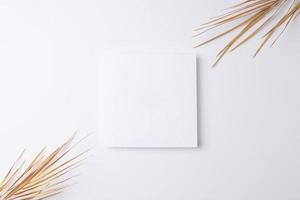 Minimal composition with palm leaf on white background. Flat lay, copy space photo