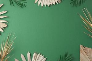 Tropical natural background with palm leaf on green. Flat lay, copy space photo