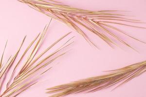 Tropical natural background with palm leaf on pink. Flat lay photo