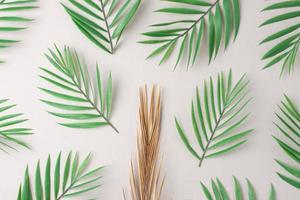 Tropical background with palm leaf on grey. Flat lay, copy space photo