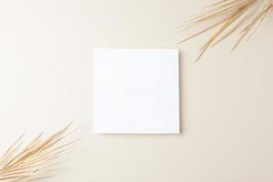 Minimal composition with palm leaf on pastel beige background. Flat lay, copy space photo