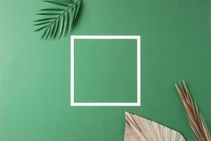 Minimal composition with white frame and palm leaf on green background. Flat lay, copy space photo