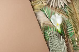 Tropical natural background with palm leaf and flower on brown. Flat lay, copy space photo