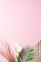 Tropical natural background with palm leaf and flower on pink. Flat lay, copy space photo