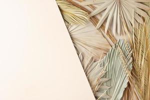 Tropical natural background with palm leaf on pastel beige. Flat lay, copy space photo