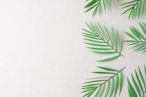 Cosmetic background with palm leaf on grey. Flat lay, copy space photo