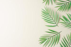 Cosmetic background with palm leaf on pastel beige. Flat lay, copy space photo