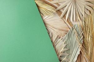 Tropical natural background with palm leaf on green. Flat lay, copy space photo