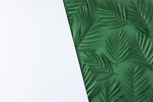 Cosmetic background with palm leaf on white. Flat lay, copy space photo