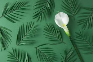 Cosmetic background with palm leaf and flower on green. Flat lay photo