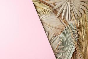 Tropical natural background with palm leaf on pink. Flat lay, copy space photo