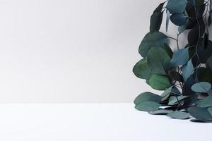 Cosmetic background with eucalyptus on grey. Close up, copy space photo