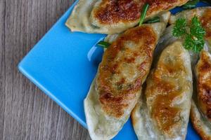 Gyoza dish view photo