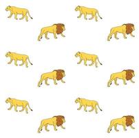 Vector seamless pattern of lion and lioness