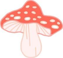 poisonous mushroom fly agaric cute hand drawn seasonal autumn vector illustration