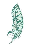 Decorative Feather for your design vector