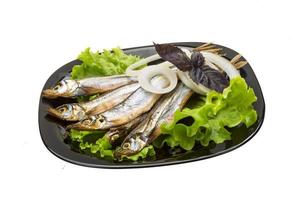 Dried Capelin on the plate and white background photo
