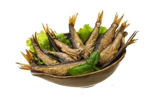 Tinned sprat in a bowl on white background photo