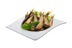 Tinned sprat in a bowl on white background photo