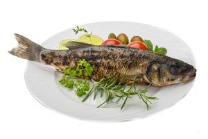 Roasted seabass on white photo