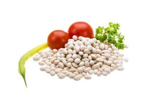 White beans on white photo