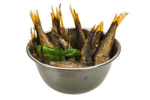 Canned sprat in a bowl on white background photo