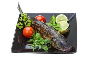 Roasted seabass on white photo