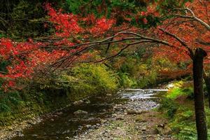 Picturesque scene of autumn in Japan photo