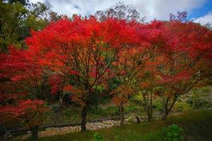 Picturesque scene of autumn in Japan photo