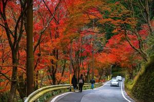 kurama, prefectura de kyoto, kansai, japón - 21 de noviembre de 2019 - escena de otoño en kibune en el monte kurama foto