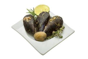 Wild mussel on white photo