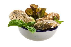 Fresh oyster on white photo